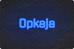 Read more about the article opkaja